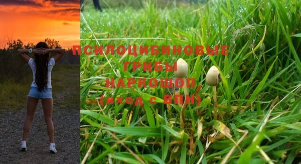 Альфа ПВП Алзамай
