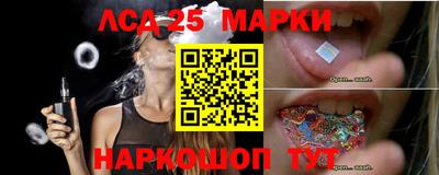 молекула духа Донецк