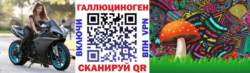 Галлюциногенные грибы ЛСД  Кинель 