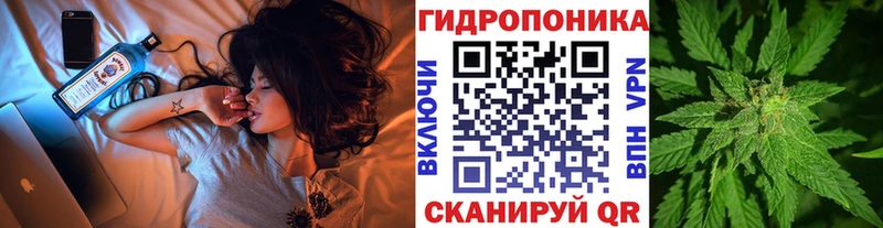 где продают   Кинель  mega ссылки  Бошки Шишки сатива 